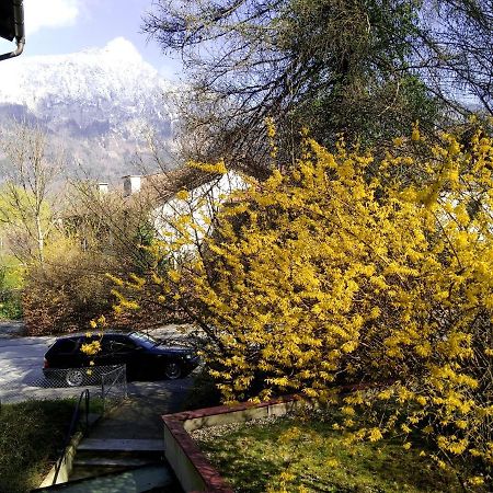 Ferienappartement Thumseestrasse Bad Reichenhall Extérieur photo